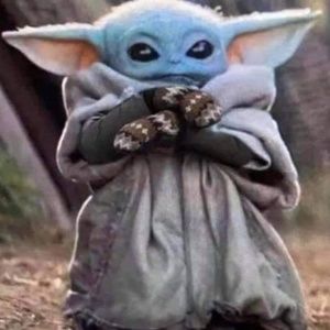 Meet your Posher, Erica